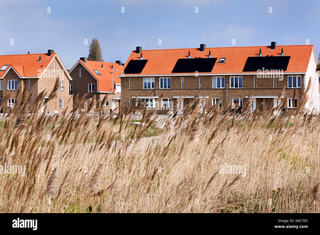 Sonnenkollektoren auf dem Dach der neuen Häuser in den Niederlanden Stockfoto