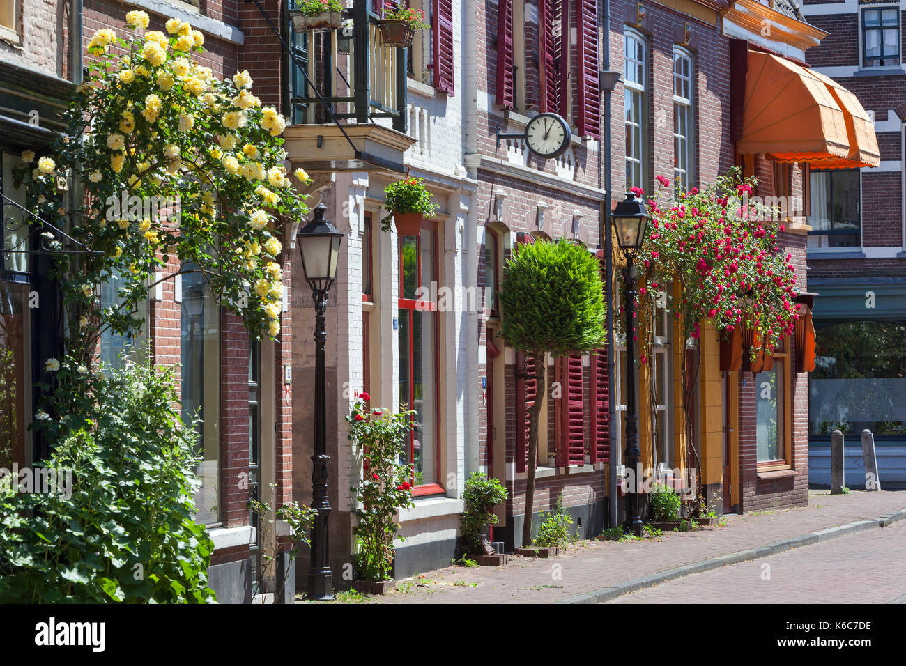 Gemütliche vintage Street mit Rosen in Culemborg in den Niederlanden Stockfoto