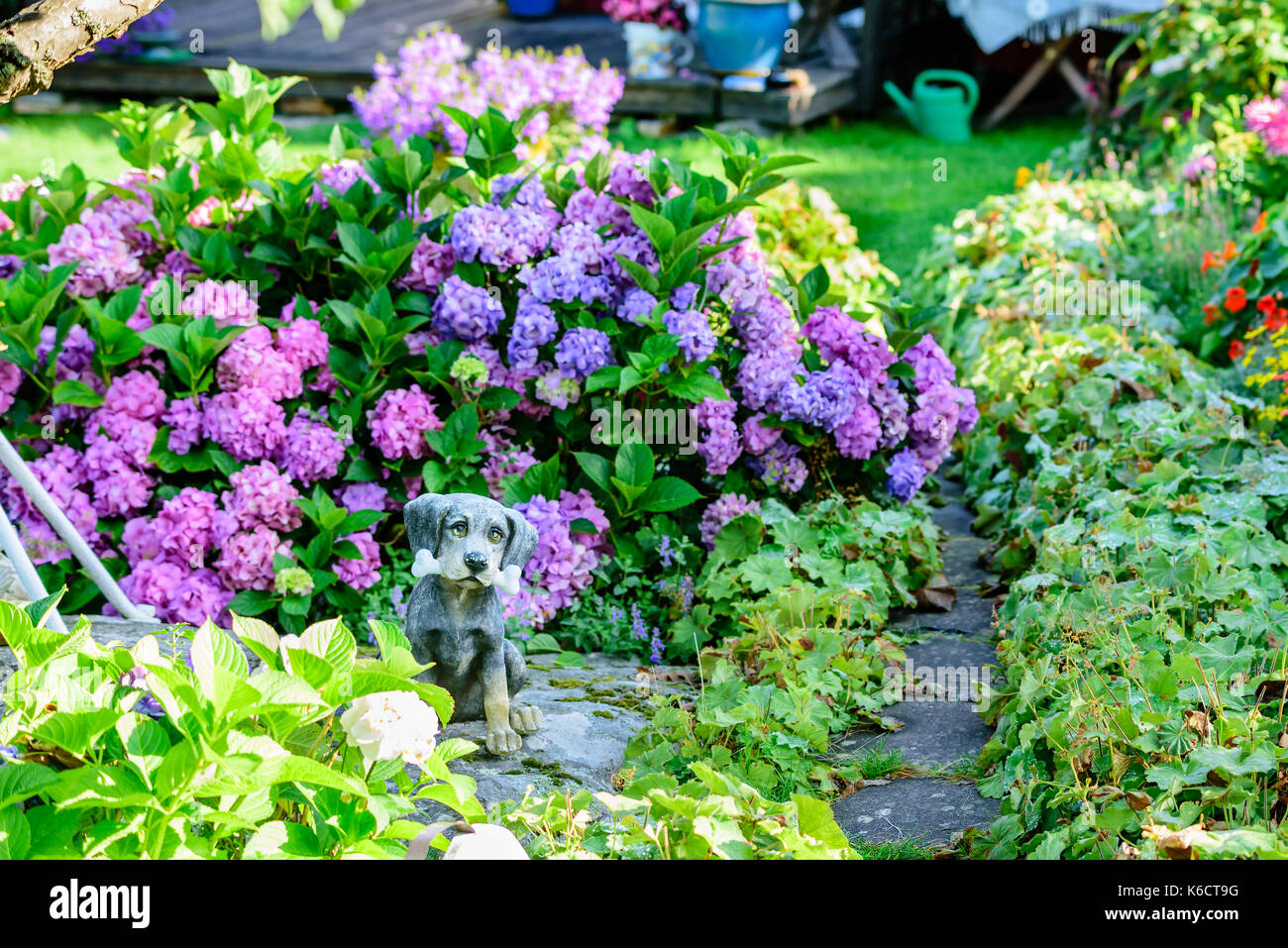 Karlskrona, Schweden - 28. August 2017: Reisen Dokumentarfilm von City Gardens. Detail von zierpflanzen Hund mit Knochen im Blumenbeet. Stockfoto