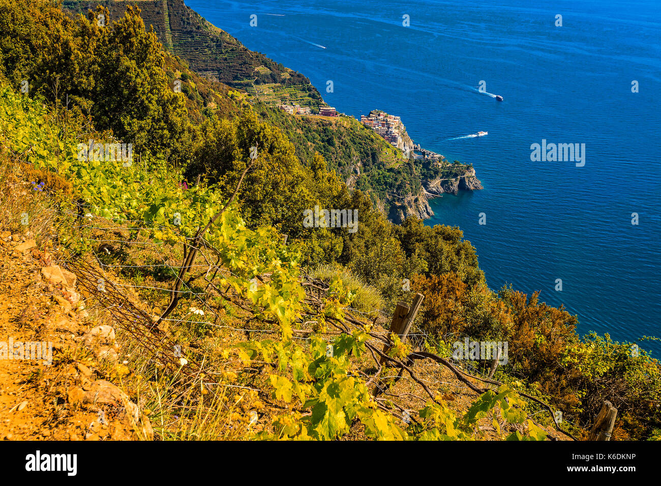 Italien Ligurien 5 Terre Nationalpark - Mararola von der Volastra Stockfoto