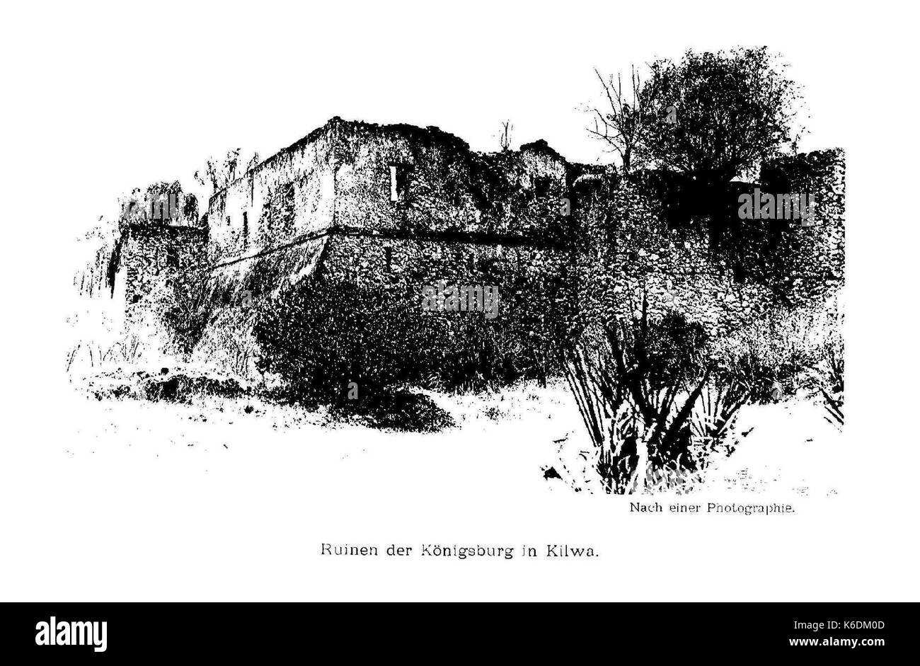 Portugiesenzeit (Strandes) 097 Sterben Stockfoto