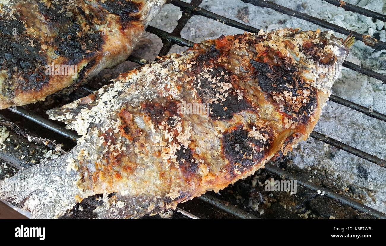 Der verbrannten Haut Salz verkrustet gegrillte Tilapia-fisch auf Holzkohle Grill, Street Food in Thailand Stockfoto