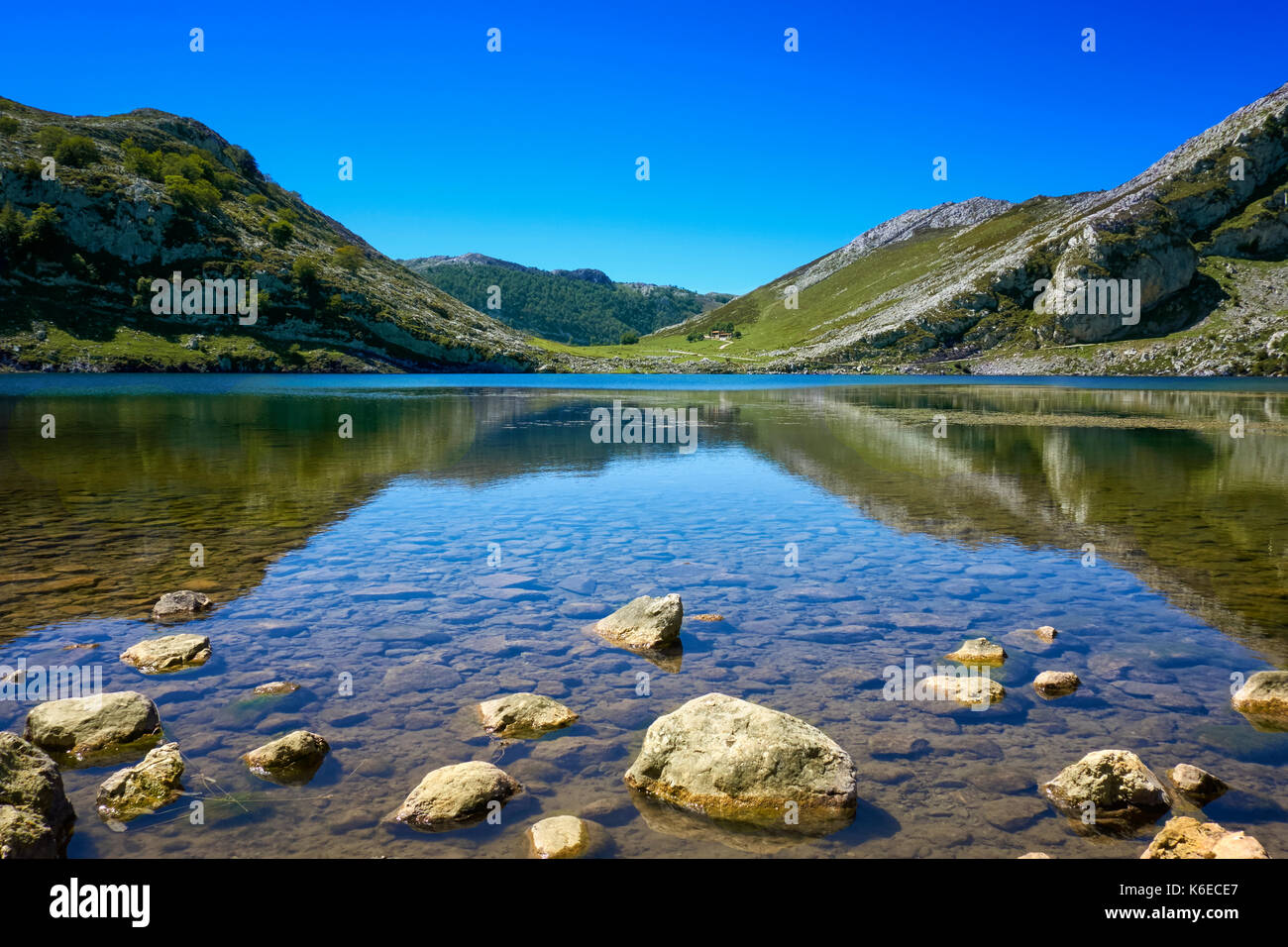 Blick auf Lago Enol im Sommer, Bergsee in den Picos de Europa National Park. Asturien. Spanien. Stockfoto