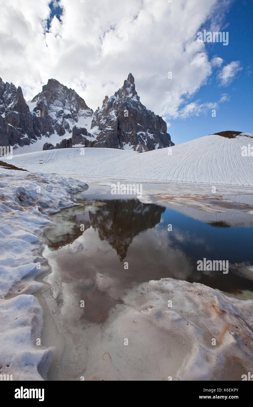 Berg im Wasser spiegelt, Cimon della Pala, Südtirol, Italien Stockfoto