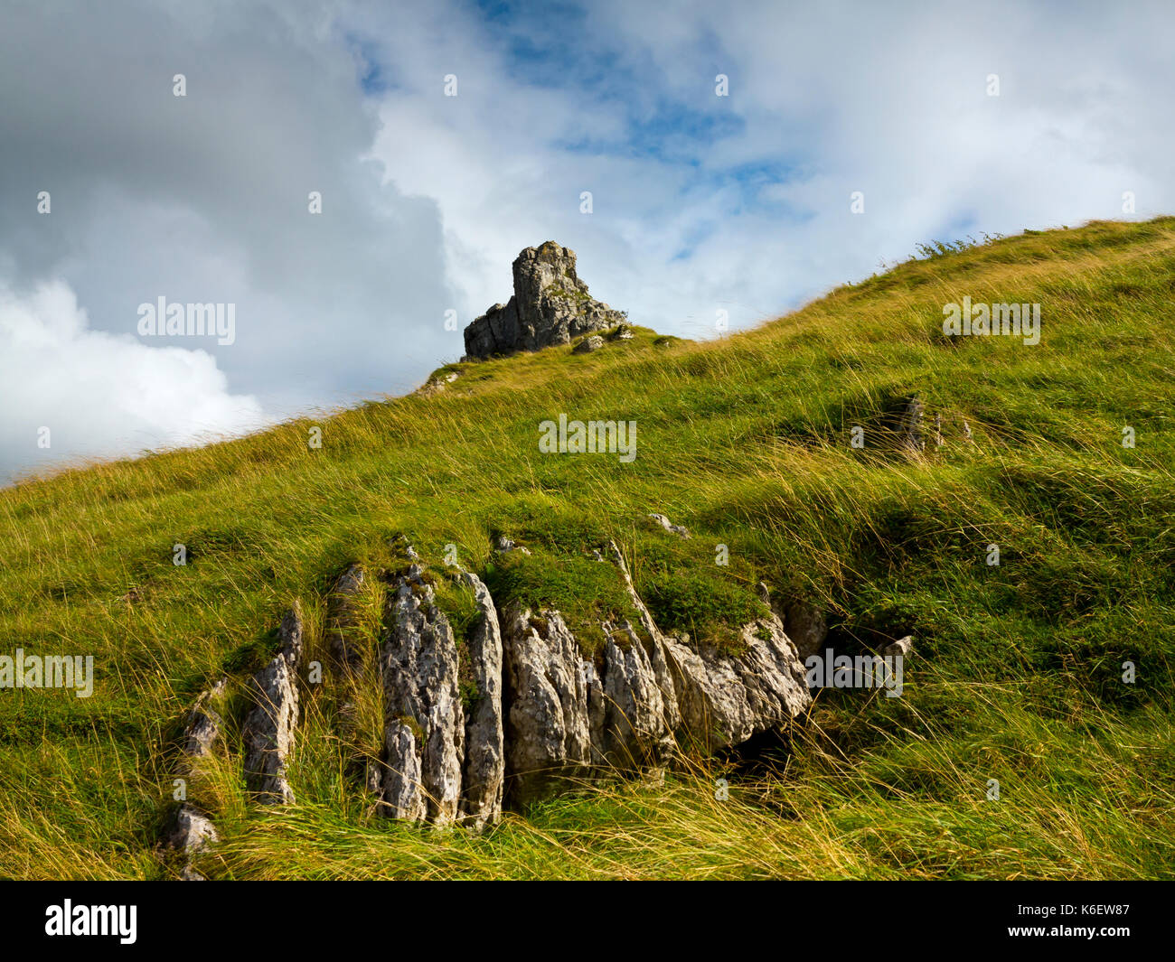 Blick über Cressbrook Dale eine Art Reserve und beliebtes Wandergebiet im Peak District National Park Derbyshire Dales England Großbritannien Stockfoto