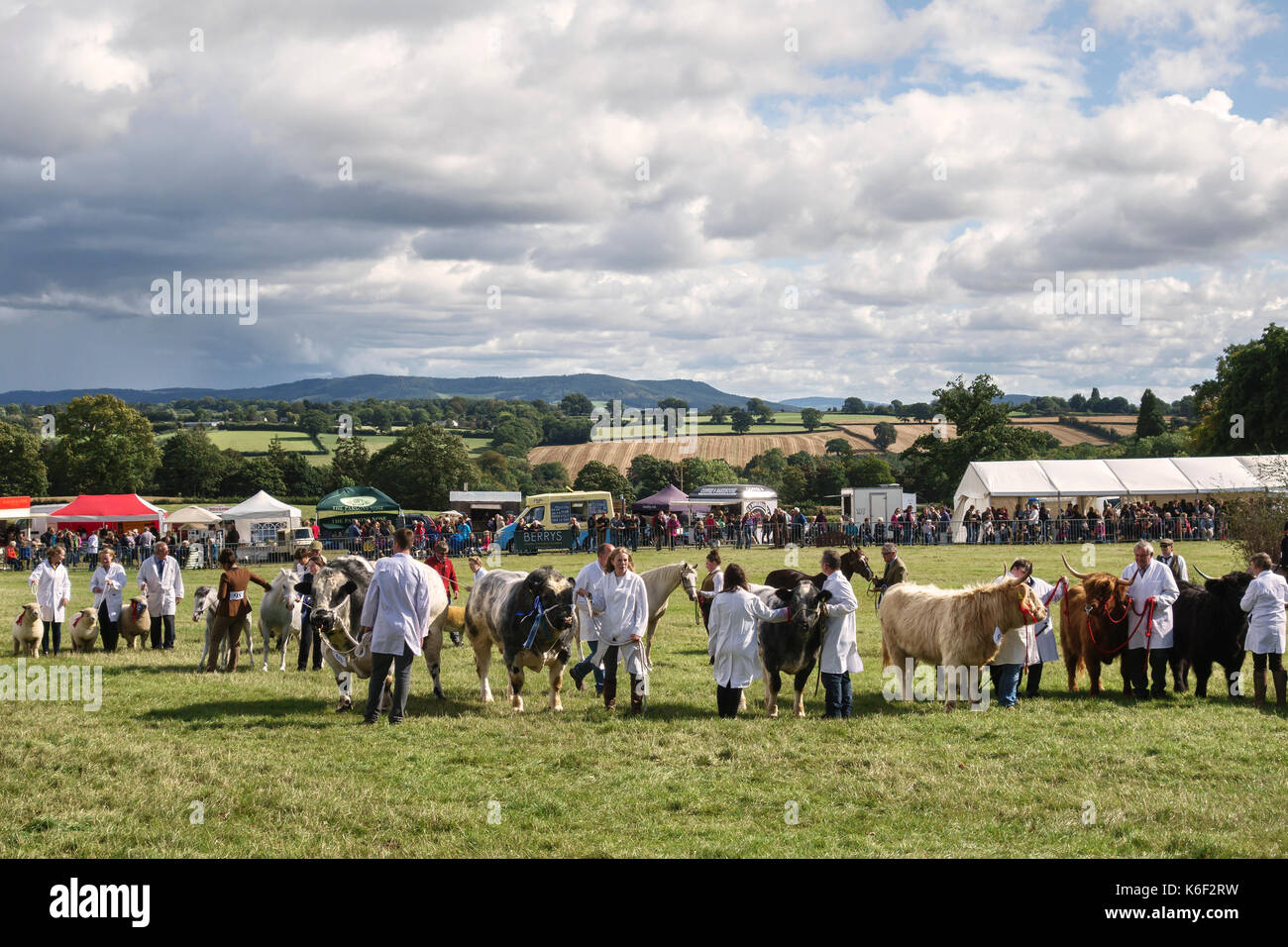 Die kington Show (Kington Horse Show & Landwirtschaftliche Gesellschaft), Herefordshire, UK. Die traditionelle Viehzucht, produzieren und Gartenschau Stockfoto
