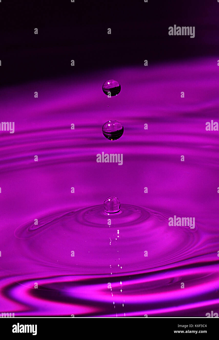 Gemischt makro Fotos unterschiedlicher Art von Tropfen Stockfoto