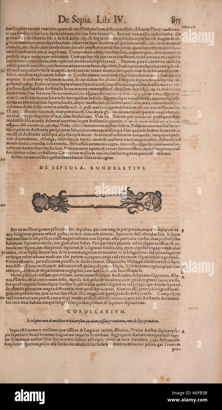 Conradi Gesneri medici Tigurini Historiae animalium liber IV (15382657179) Stockfoto