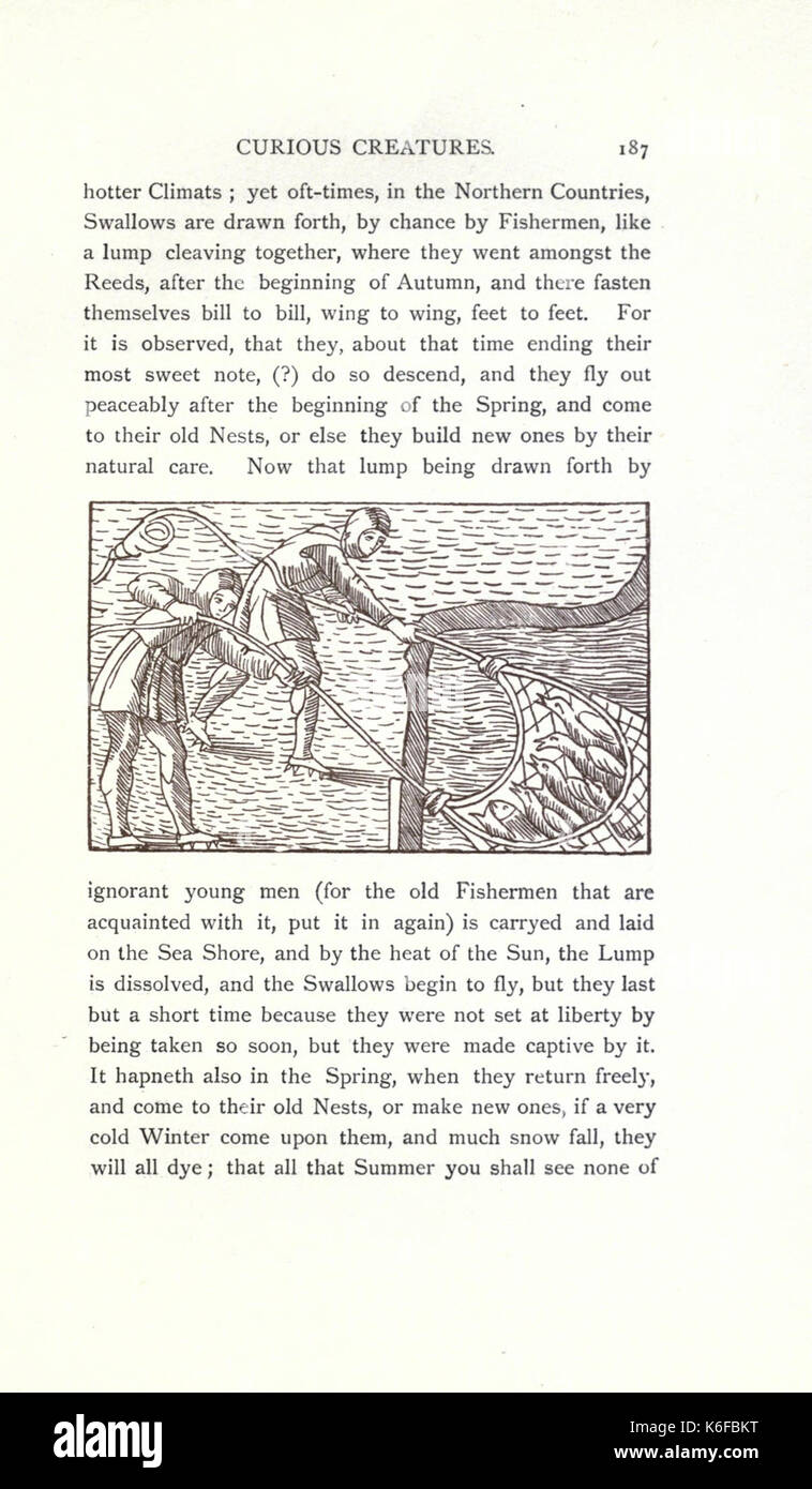 Neugierig Kreaturen in der Zoologie (15382559857) Stockfoto