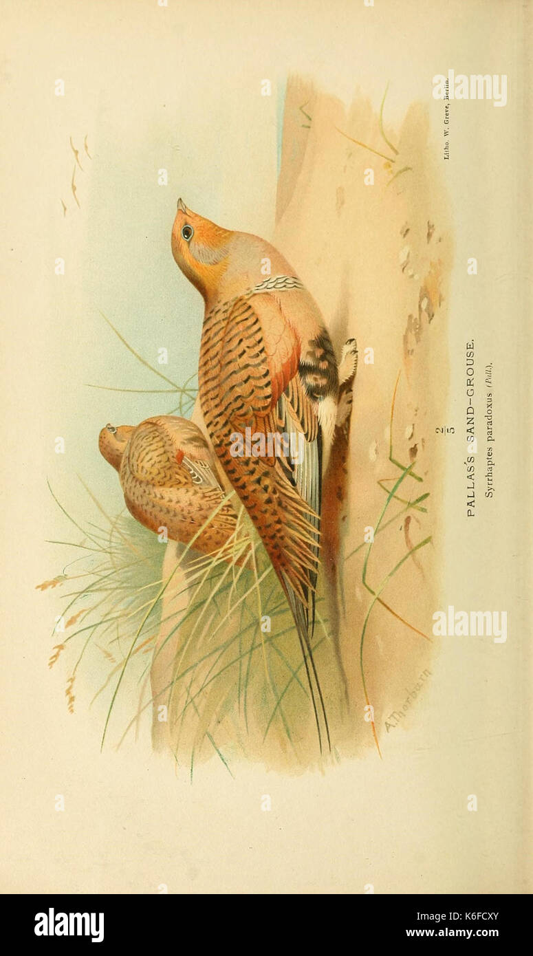 Farbige Abbildungen der Vögel der Britischen Inseln ausgestellt von Herrn Lilford (10560333954) Stockfoto