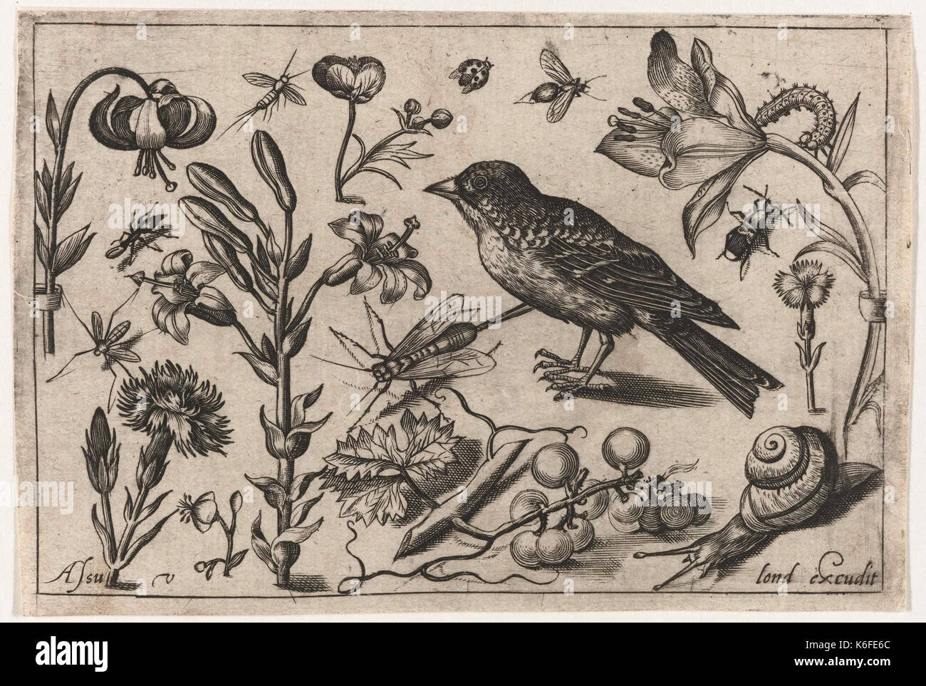 Bloemen, een slak en een Vogel Stockfoto