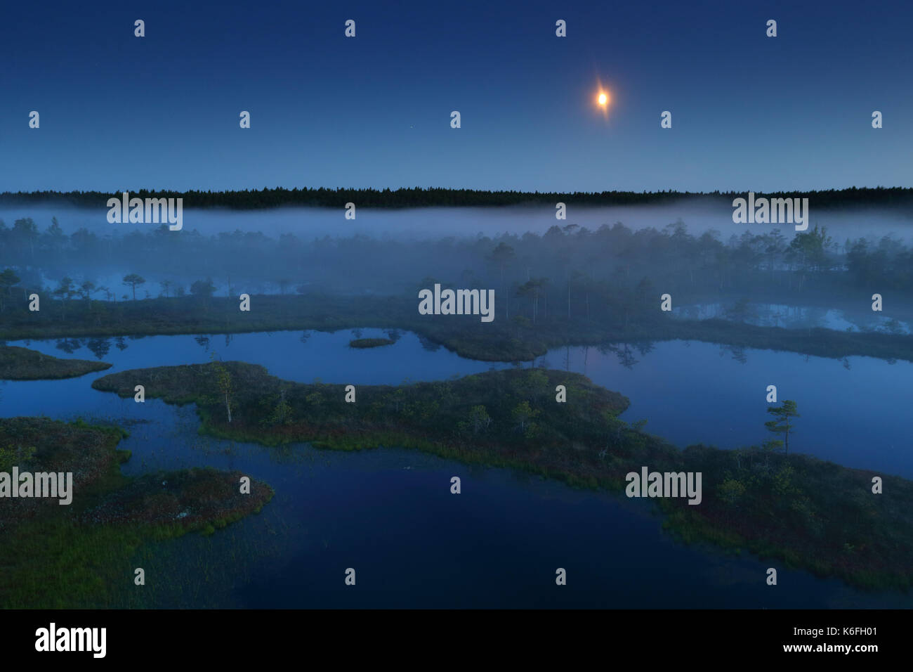 Misty Sommernacht in Mannikjärve Moor, Endla Naturschutzgebiet, Estland Stockfoto