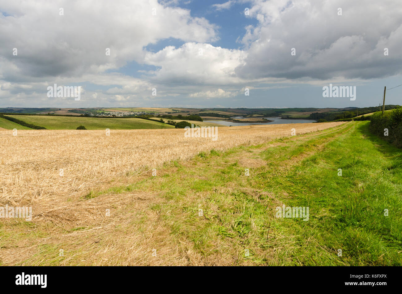 Vor kurzem abgeernteten Feldern in Batson, Salcombe Stockfoto