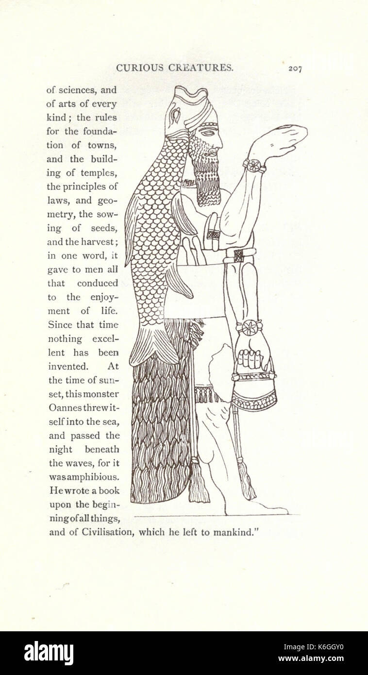Neugierig Kreaturen in der Zoologie (Seite 207) BHL 23574962 Stockfoto
