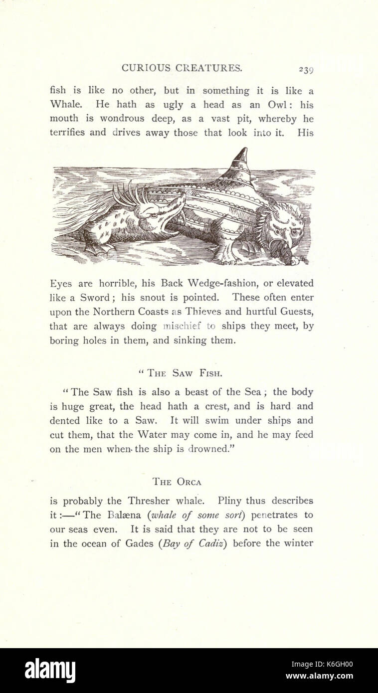 Diese Seite von „Neugierige Kreaturen in der Zoologie“ zeigt einzigartige Arten im Tierreich. Es präsentiert eine Erkundung faszinierender und seltener Lebewesen aus verschiedenen Umgebungen und bietet Einblicke in die zoologische Vielfalt. Stockfoto