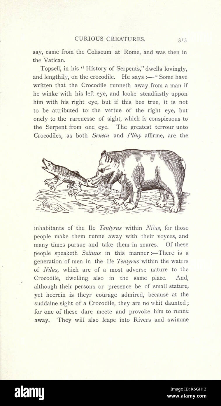 Neugierig Kreaturen in der Zoologie (Seite 313) BHL 23575068 Stockfoto