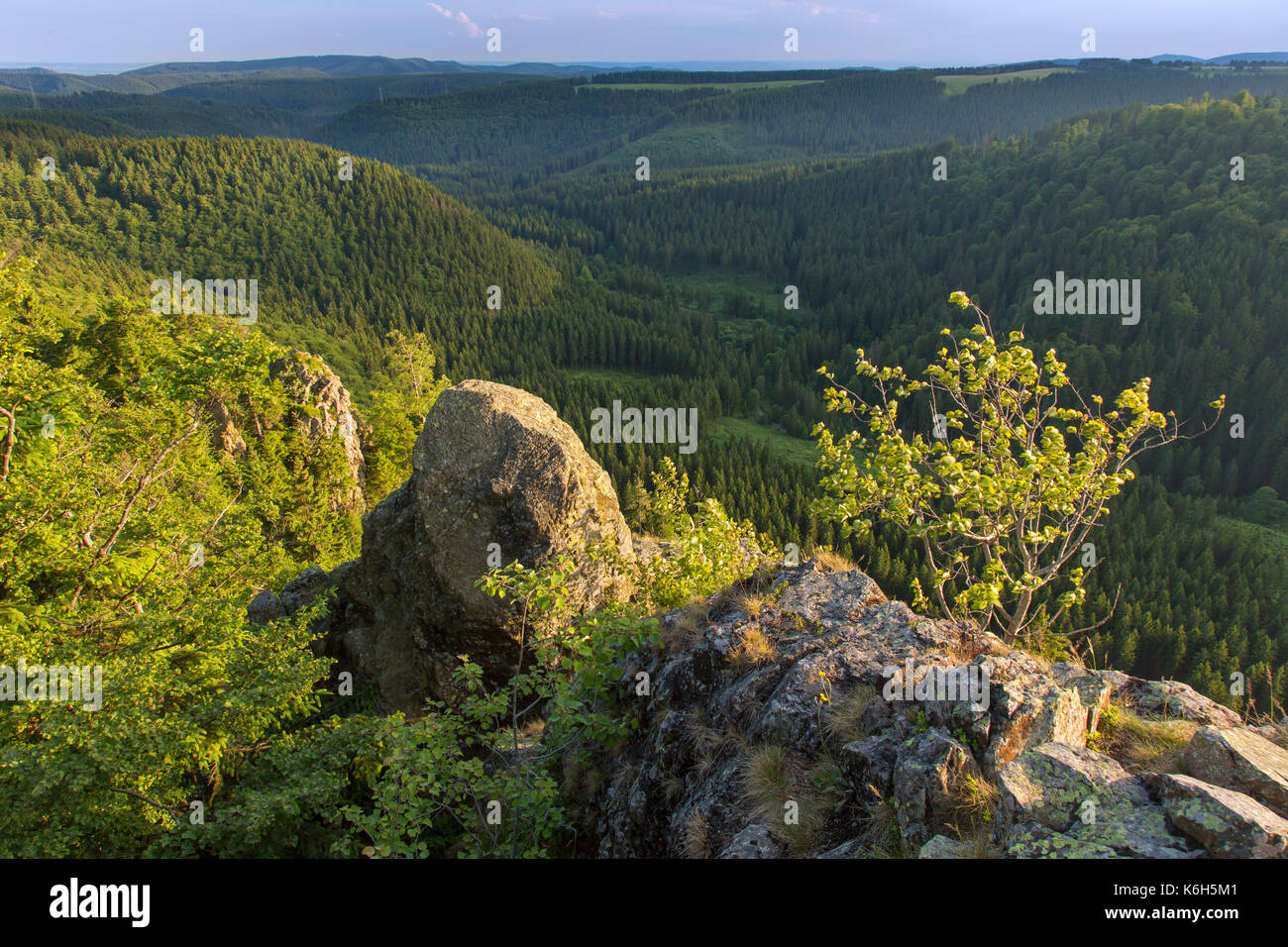 Hahnenkleeklippen/Hahnenklee Crags am oberen Harz / Oberharz im Nationalpark Harz, Niedersachsen, Deutschland Stockfoto