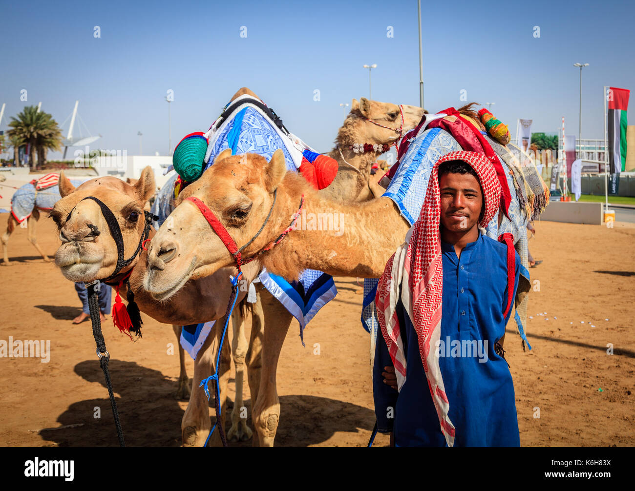 Dubai, Vereinigte Arabische Emirate - 25. März 2016: Camel Handler mit den Tieren am Dubai Camel Racing Club Stockfoto