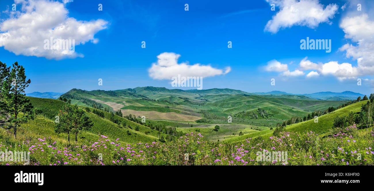 Malerische Berg Panoramablick sonnige Landschaft, grüne Hügel ridge, blühende Wiese mit lila Wildblumen und schöne Wolken am blauen Sk Stockfoto