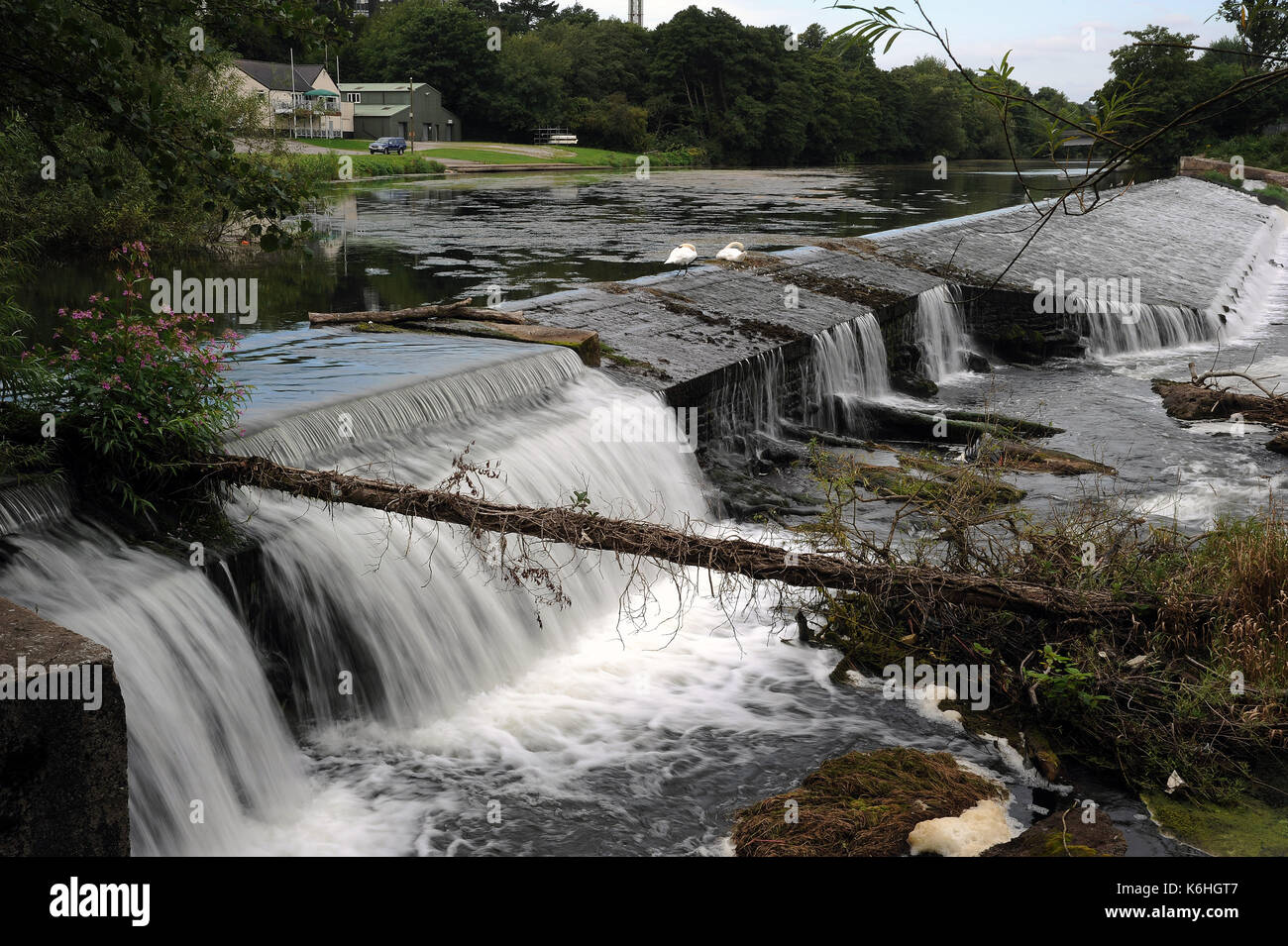 Llandaff Wehr. Fluss Taff. Stockfoto