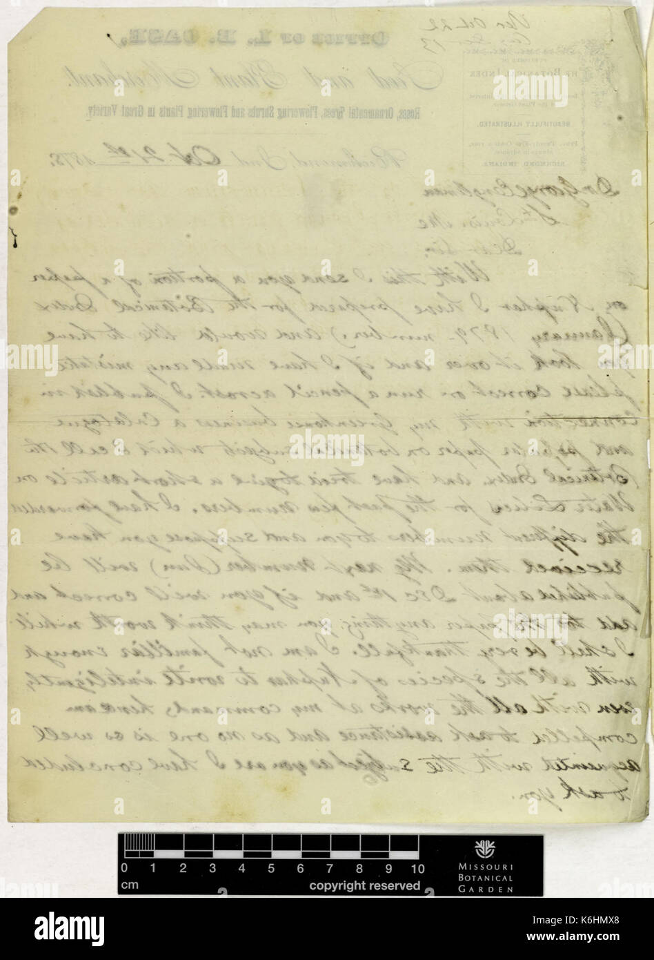 Korrespondenz (L.B.) und Engelmann (George) (Oct 21, 1878 (1) verso) BHL 42758109 Stockfoto