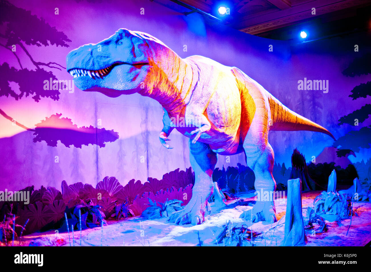 Tyrannosaurus Rex, National History Museum, London Stockfoto