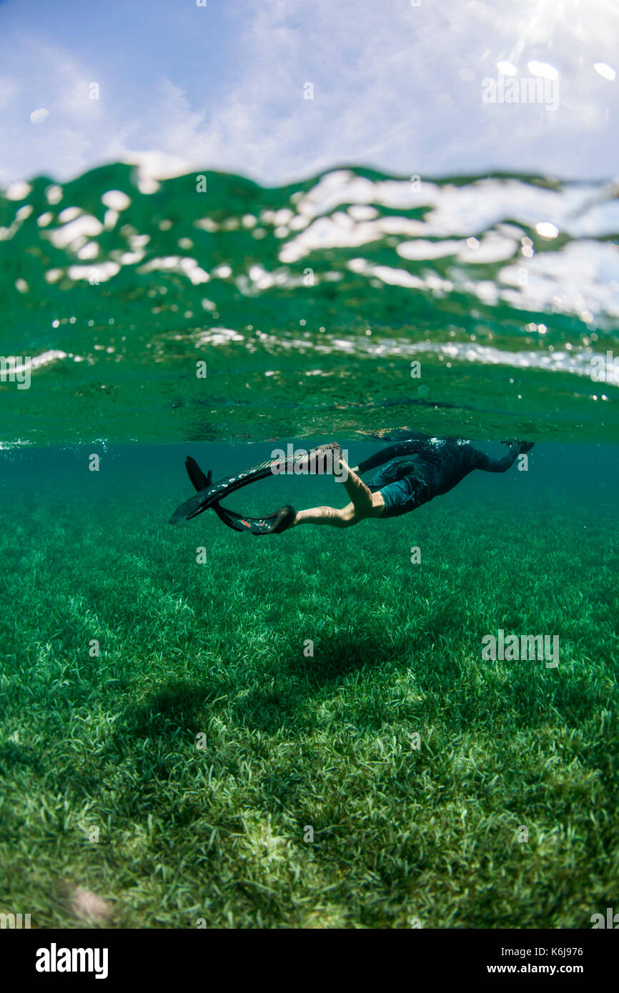 Schnorchler Swimmingpool über turtlegrass Unterwasser aus Küste von Roatan Island Reef, Honduras Stockfoto