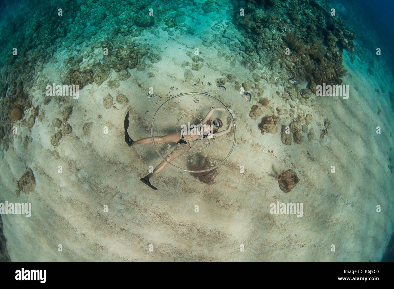 Frau ring blasen, blasen, freitauchen Unterwasser aus Küste von Roatan Islands Riff, Honduras Stockfoto