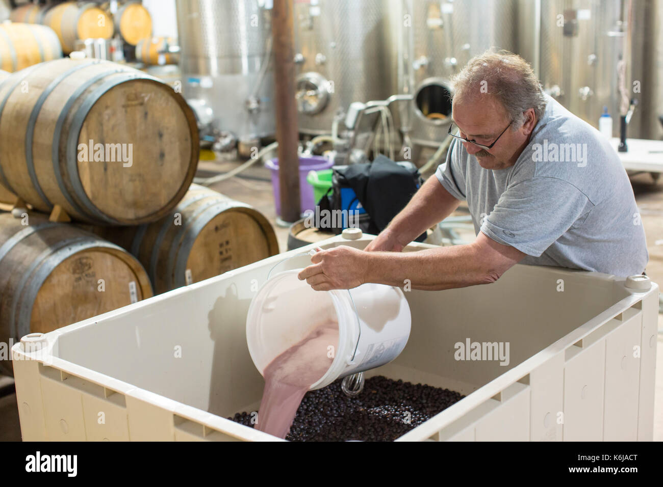 Man mischen Hefe in grosse Behälter mit Trauben- und Apfelsaft, Delaplane, Virginia, USA Stockfoto