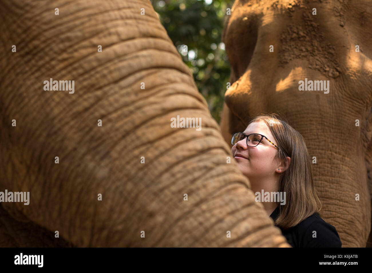 Mädchen lächelnd und stehen durch die riesigen Elefanten, Chiang Mai, Thailand Stockfoto