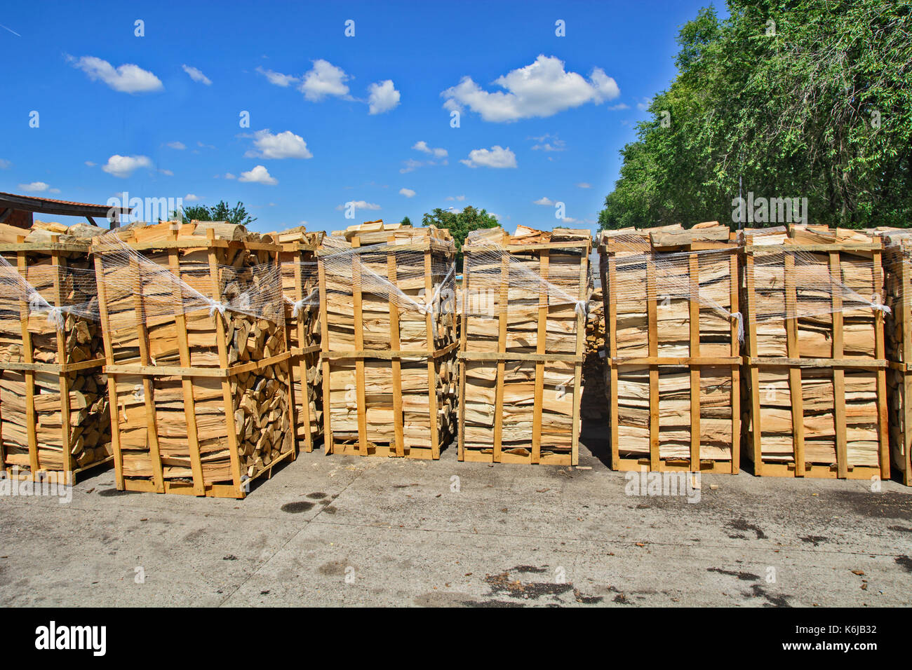 Holz im Depot, schneiden Sie die Protokoll- und zum Verkauf bereit. Stockfoto