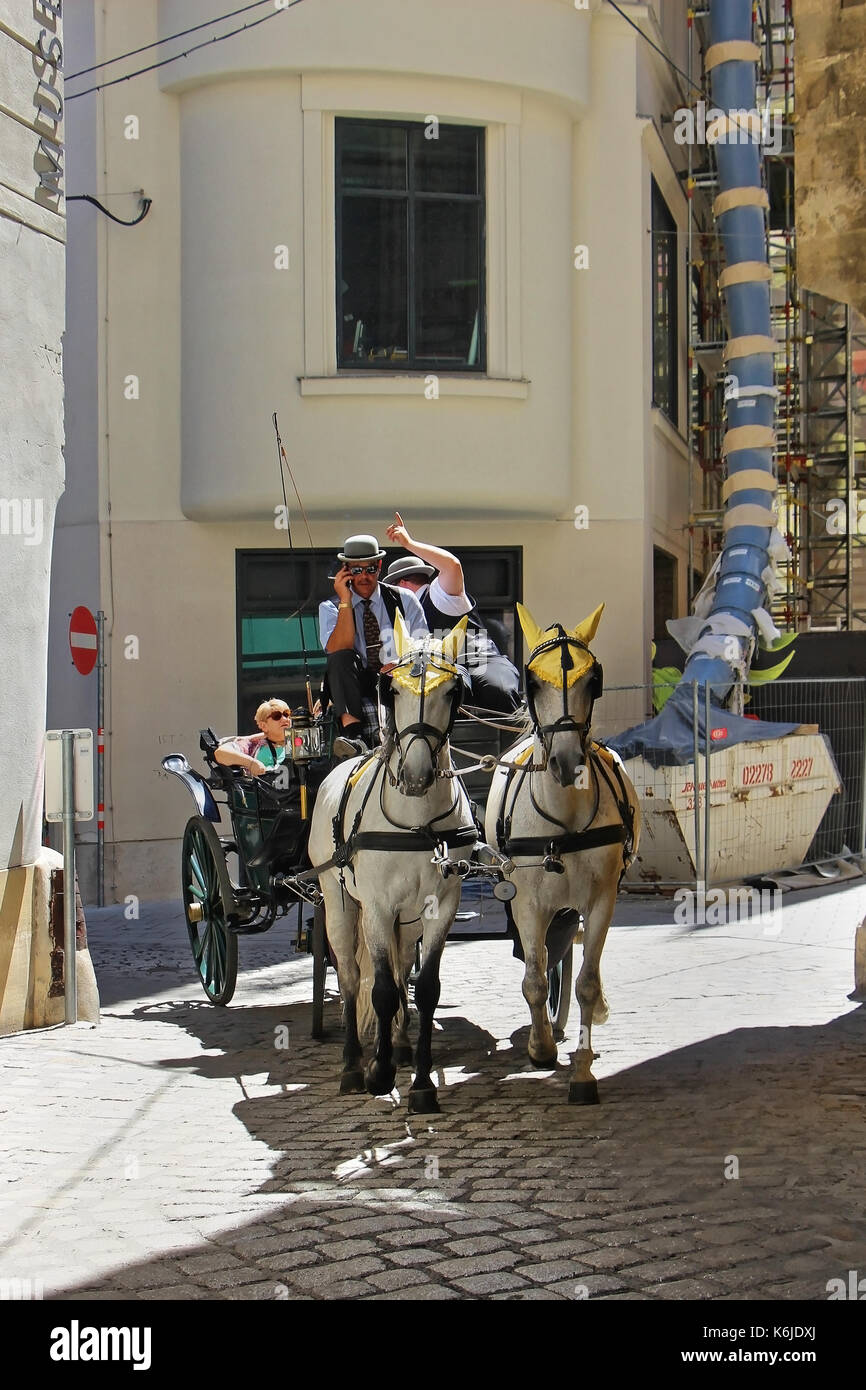 Wien, Österreich - 11. Juli; Pferdekutsche ertrinken ist traditionell Touristenattraktion und Vergangenheit - Zeit in Wien, Österreich - 11. Juli 2015: Touristen genießen hor Stockfoto