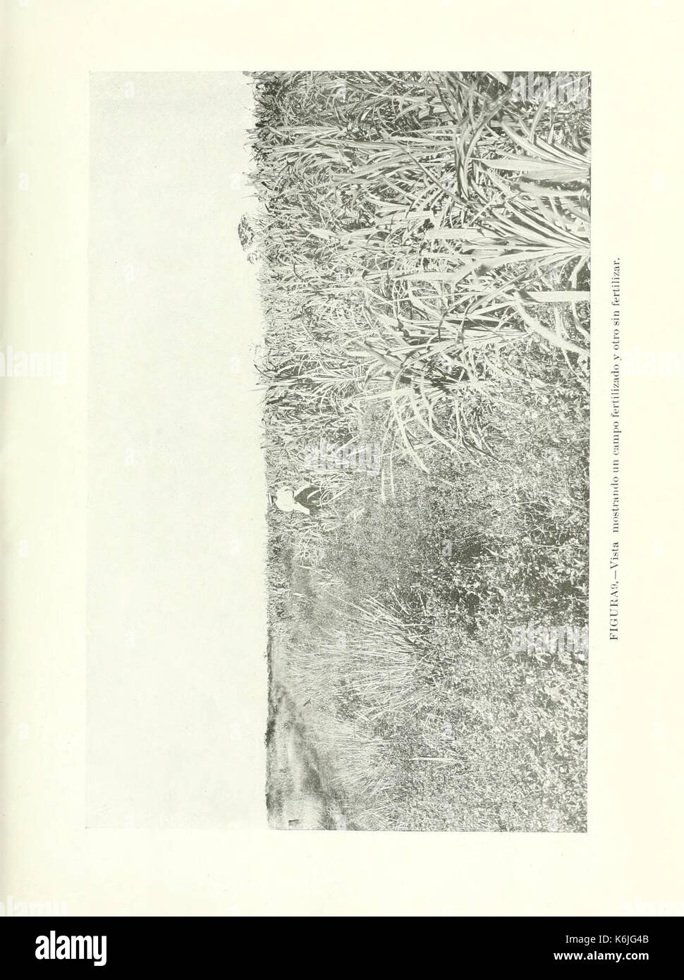 Kreisförmige BHL 5388979 Stockfoto