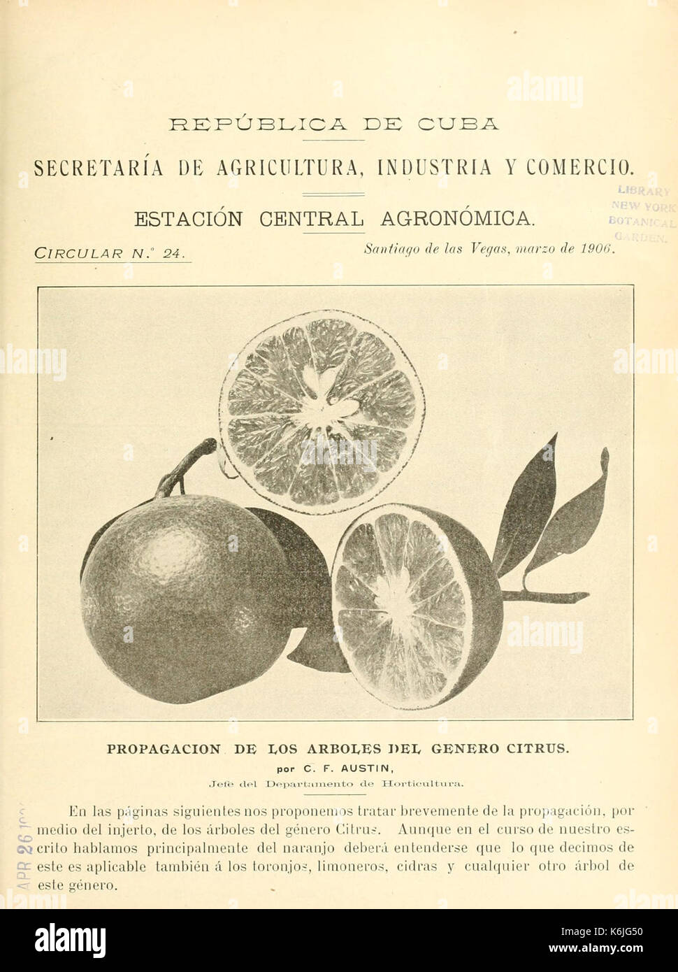 Kreisförmige BHL 5389079 Stockfoto