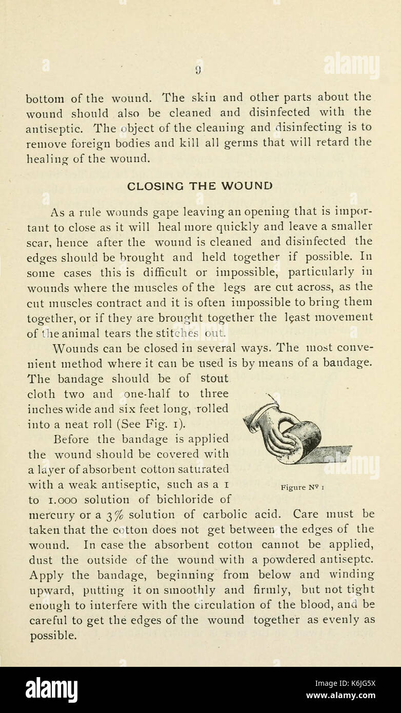 Rundschreiben (Seite 9) BHL 4955447 Stockfoto