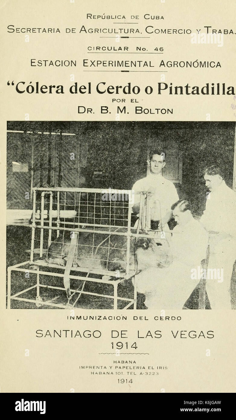 Kreisförmige BHL 4956109 Stockfoto