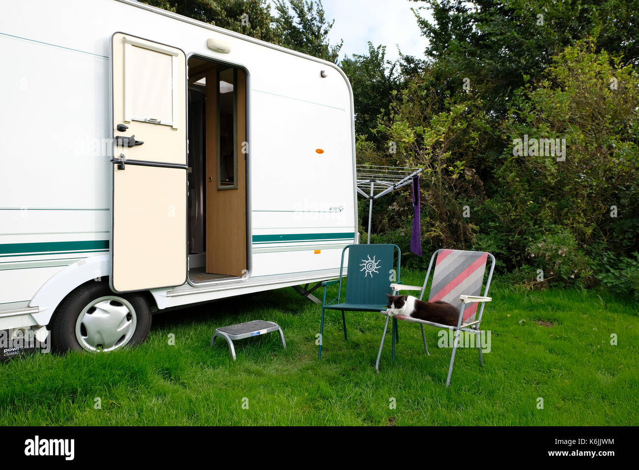 Schwarze und weiße Katze im Urlaub in Camping und Caravan in Großbritannien Stockfoto