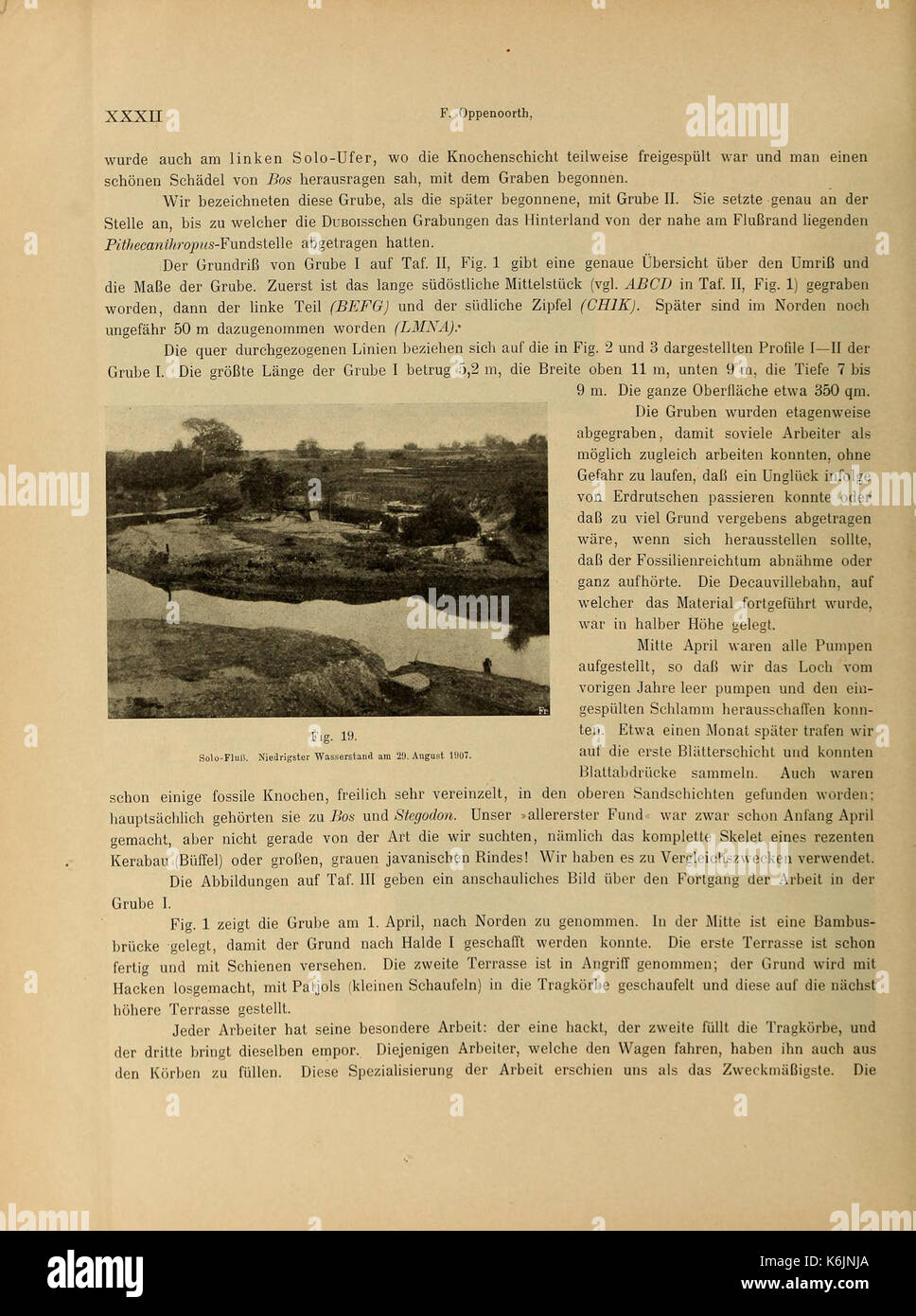 Sterben Pithecanthropus Schichten in Java BHL 40124643 Stockfoto