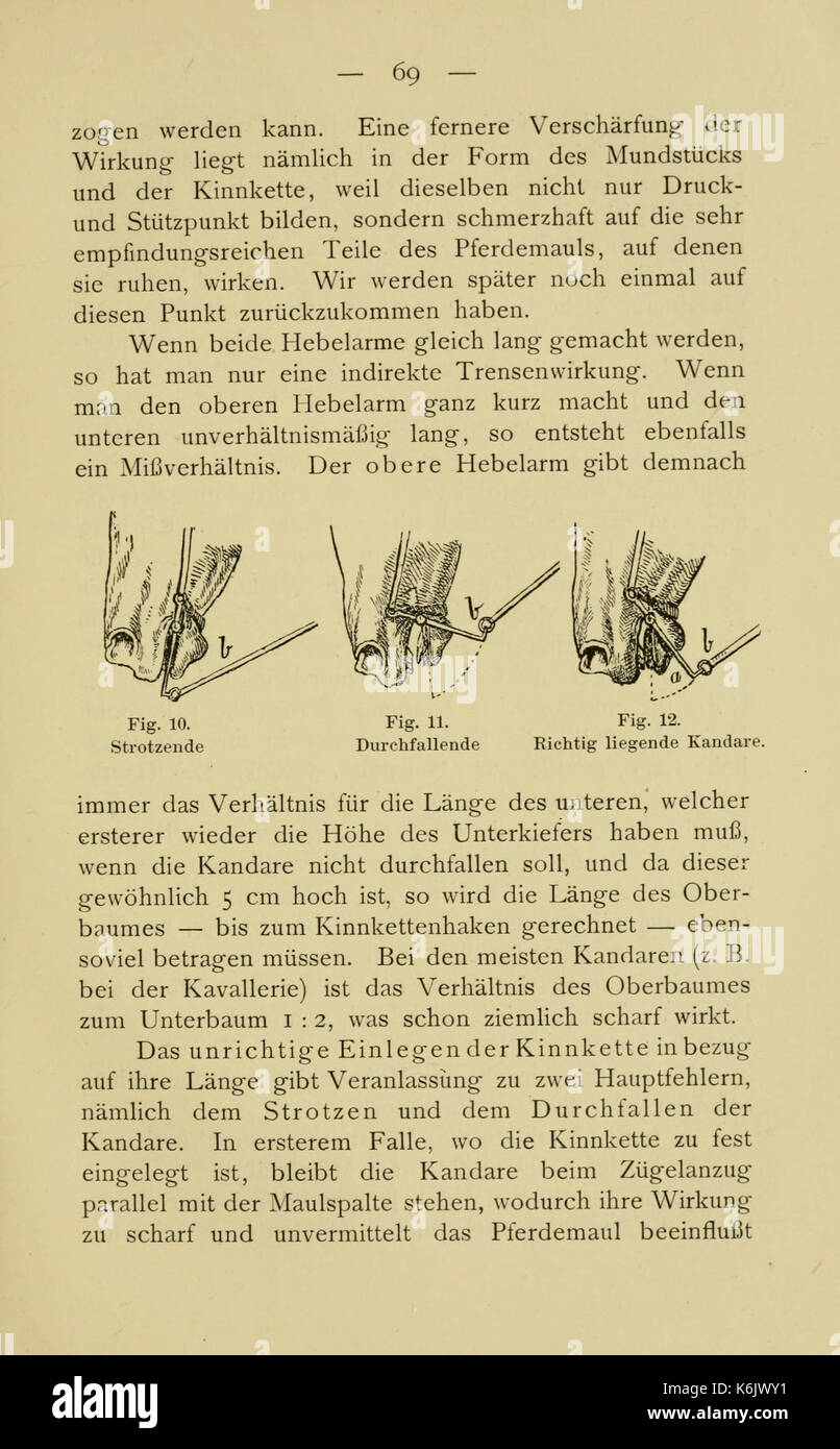 Der Damen Reitsport (Seite 69) BHL 21538826 Stockfoto