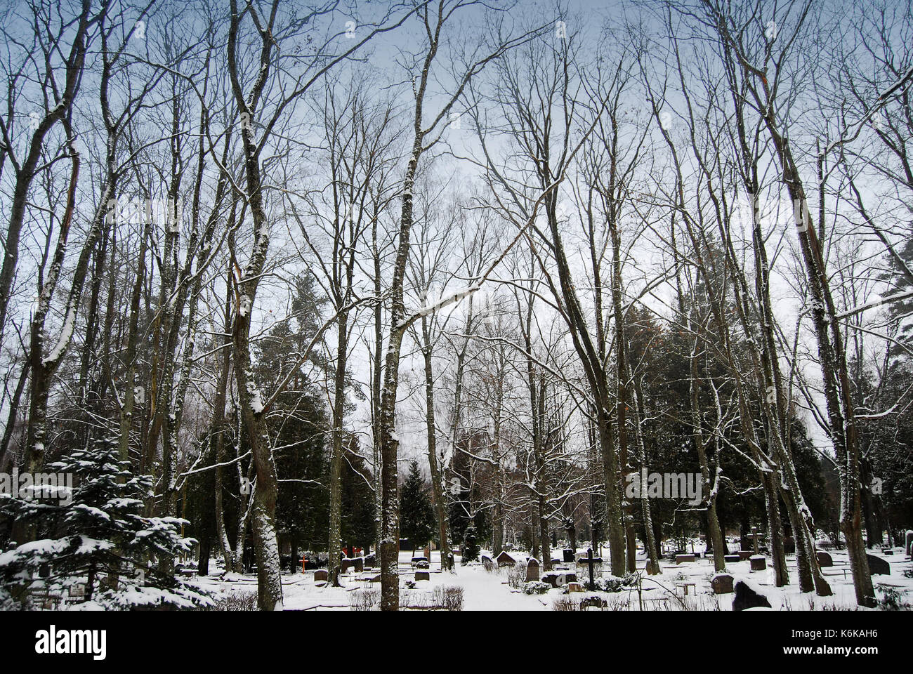 Friedhof im winter Stockfoto