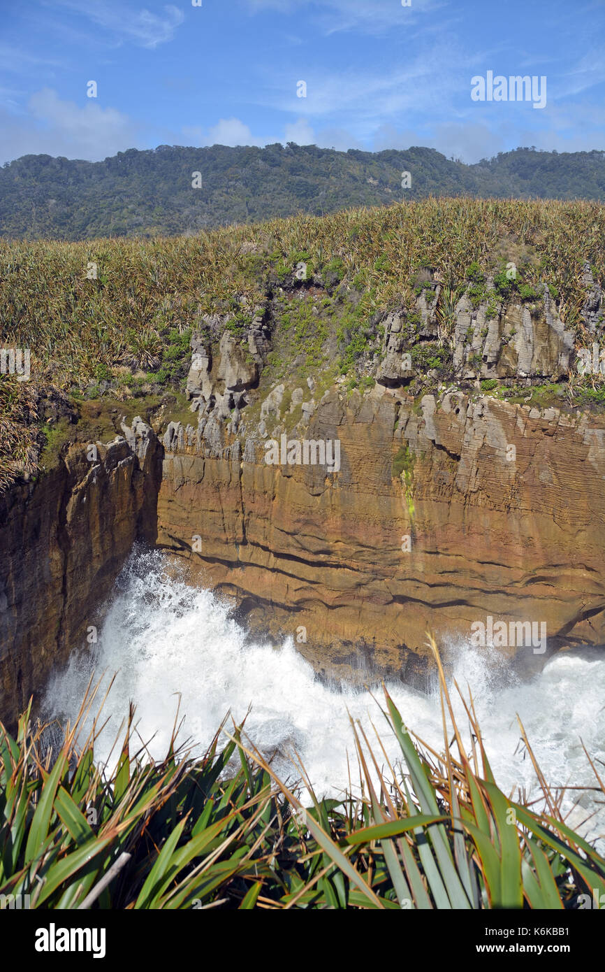 Riesige Wellen aus der Tasmanischen See Absturz in die Felsen am Punakaiki an der Westküste der Südinsel von Neuseeland. Stockfoto