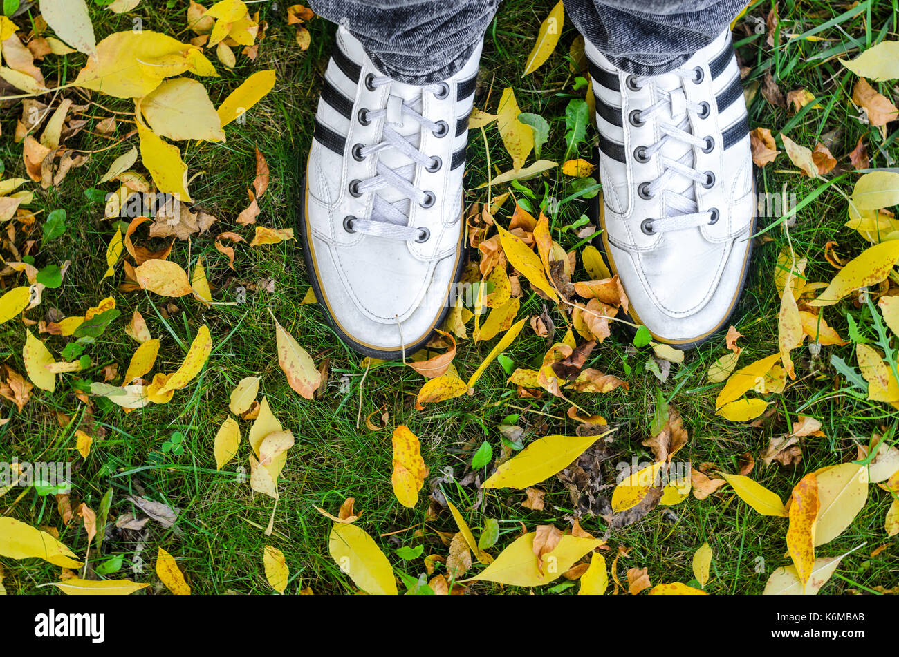 Weißen Turnschuhen auf grünem Gras und Laub Ansicht von oben. Blick von der ersten Person unter den Füßen Herbst grünes Gras und Gelb gefallen lassen Stockfoto