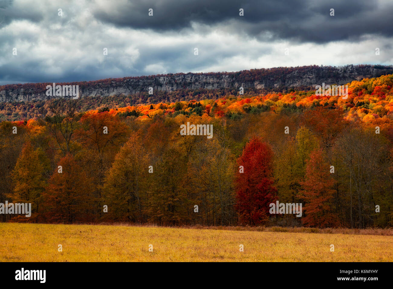Shawangunk Bergen Hudson Valley NY-Paltz Punkt Ansicht von Osten, mit dem warmen und hellen Farben von Peak Herbst Laub. Die Shawangunk Ridge, auch bekannt als die Shawangunk Mountains oder den Gunks, auch im Hintergrund sehen kann. Stockfoto