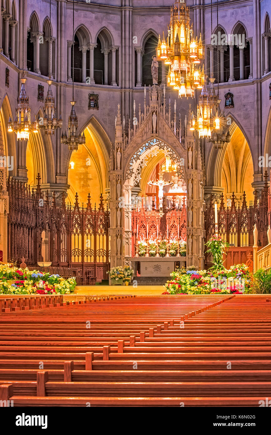 Dom Basilika des Heiligen Herzens Newark NJ - Blick auf das Französische neugotischen Architektur Altar von der Rückseite des Römisch-katholischen Chur Stockfoto