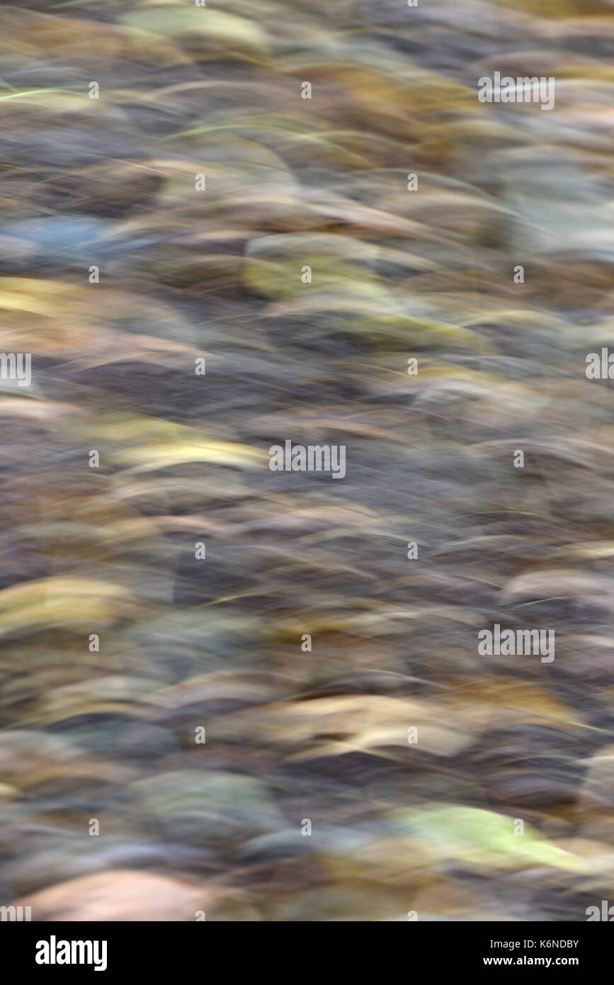 Waldboden Abstract Stockfoto