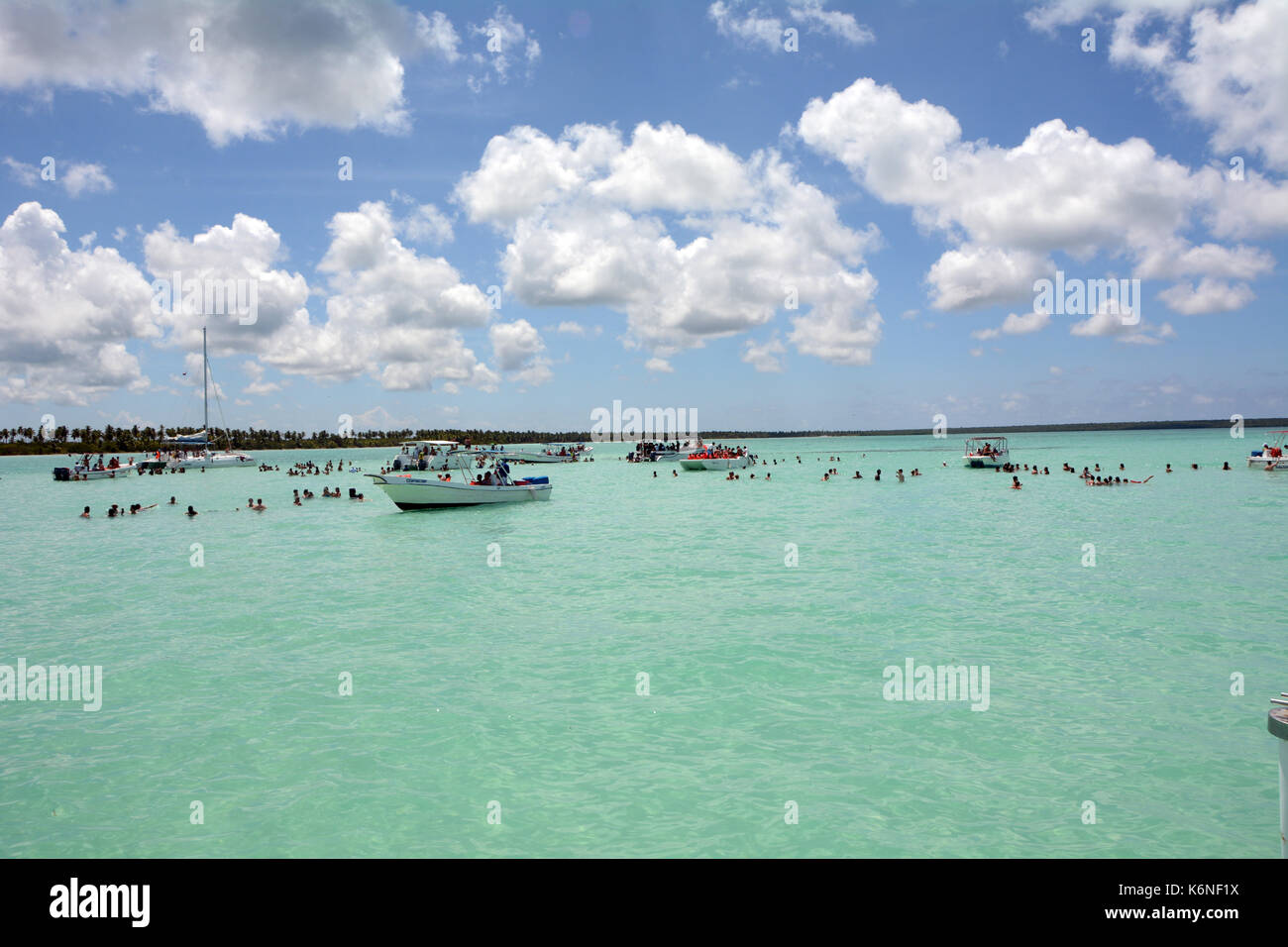 Urlauber besuchen Piscina Natural - Isla Saona - Dominikanische Republik und Anzeigen der Bahama starfish Stockfoto