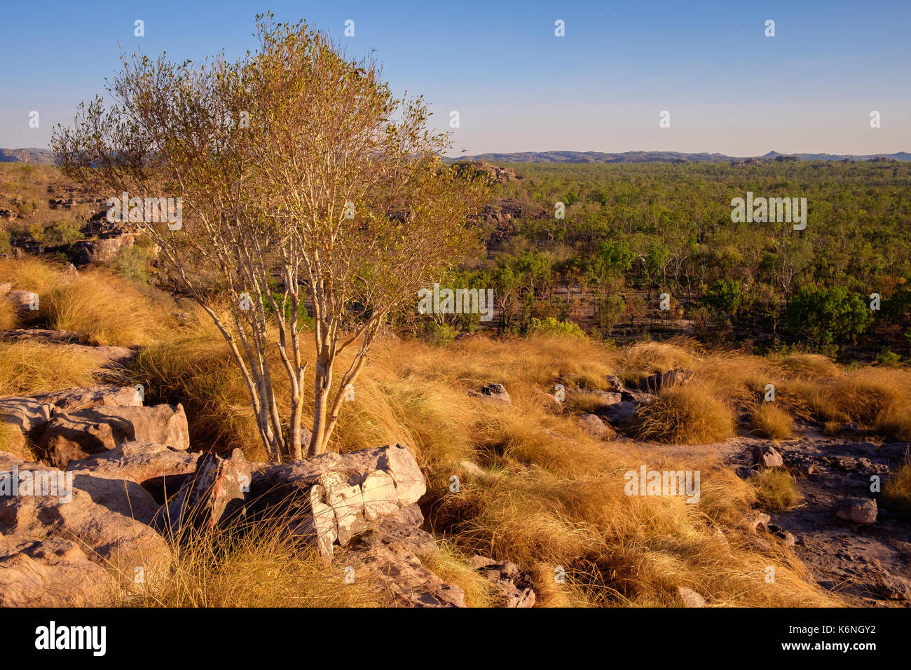 Ubirr Rock, Kakadu National Park, NT Stockfoto