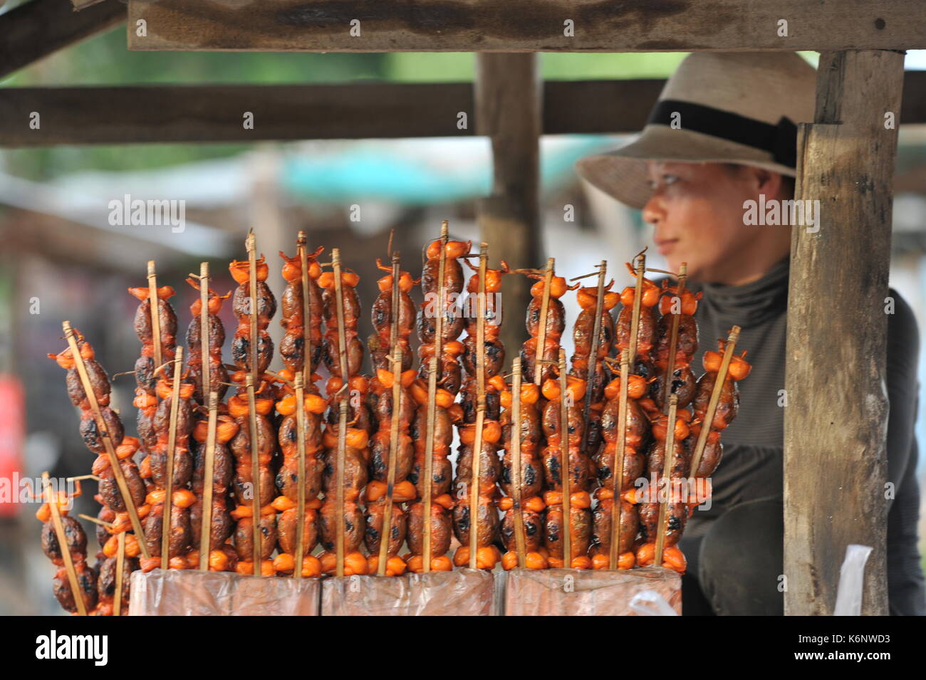 Khmer Street Vendor mit gegrillten oder gegrillten Fröschen zum Verkauf an einem offenen Straßenstand am Highway 2, Takeo Province, Kambodscha. Kredit: Kraig lieb Stockfoto