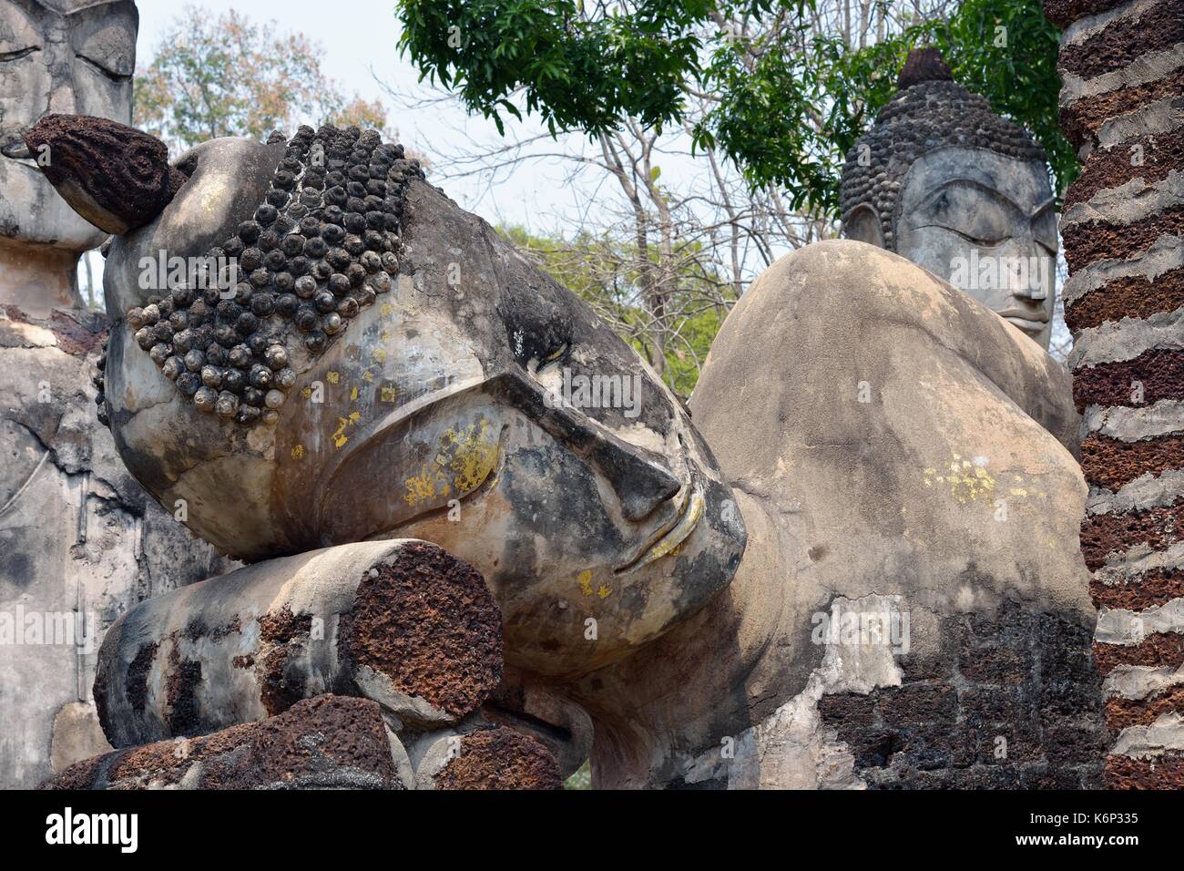 Der Kopf eines Buddha Statue Nahaufnahme. Die Ruinen der alten buddhistischen Tempel Wat Phra Kaeo. Kamphaeng Phet, Thailand Stockfoto