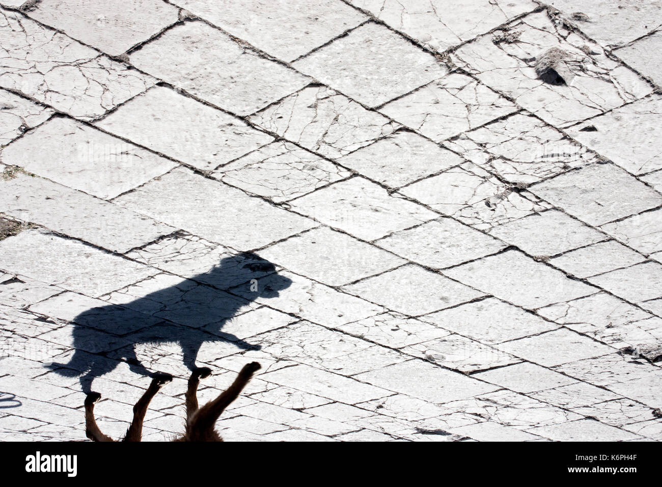 Inukai Schatten auf alten mediterranen Stein Fliesen- Straße Stockfoto